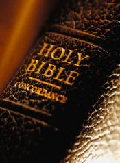 biblespine