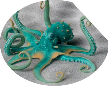 octopus