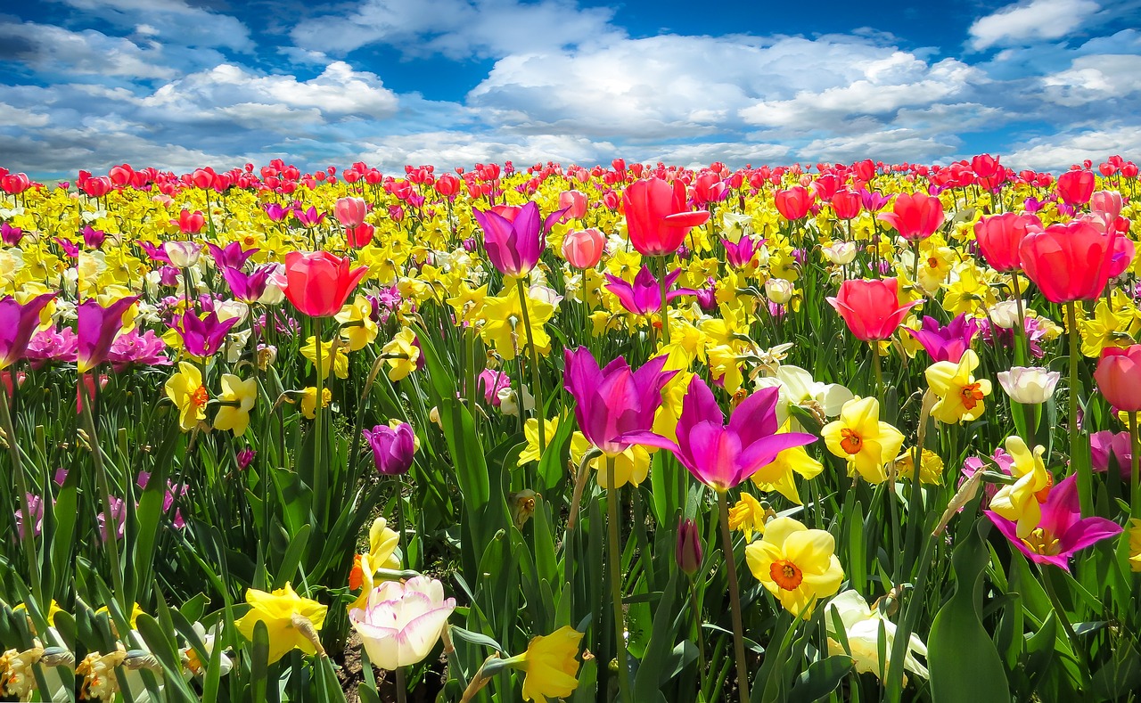 springtime