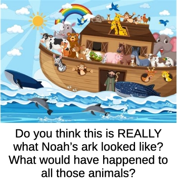 noahs ark