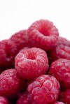 berries